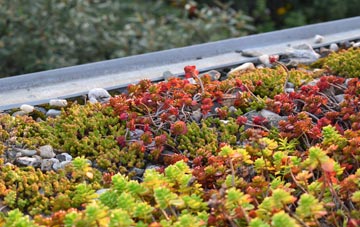 the cost of Upper Pickwick green roof installation