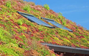 Upper Pickwick living roof systems