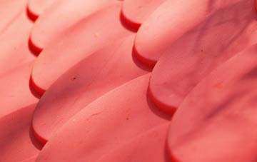 Upper Pickwick plastic roof costs