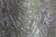 Upper Pickwick fibreglass roof work